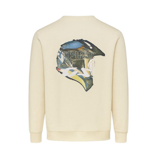 Moletom BMW R1300 GS Nature Helmet