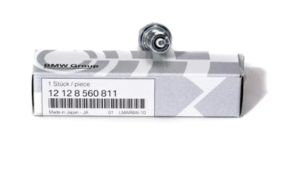 Vela De Ignição BMW Motorrad  R 1250 GS / R 1250 GSA / R 1250 R N2