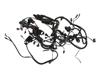 Cablagem (Chicote) Elétrico Principal F 750 GS/ F 800 GS/ F 850 GS N1 61111622424 — BMW Motorrad