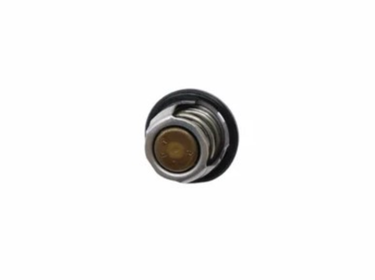 Válvula Termostática BMW G 310 GS / G 310 R N16 11538562895 — BMW Motorrad - vista 3