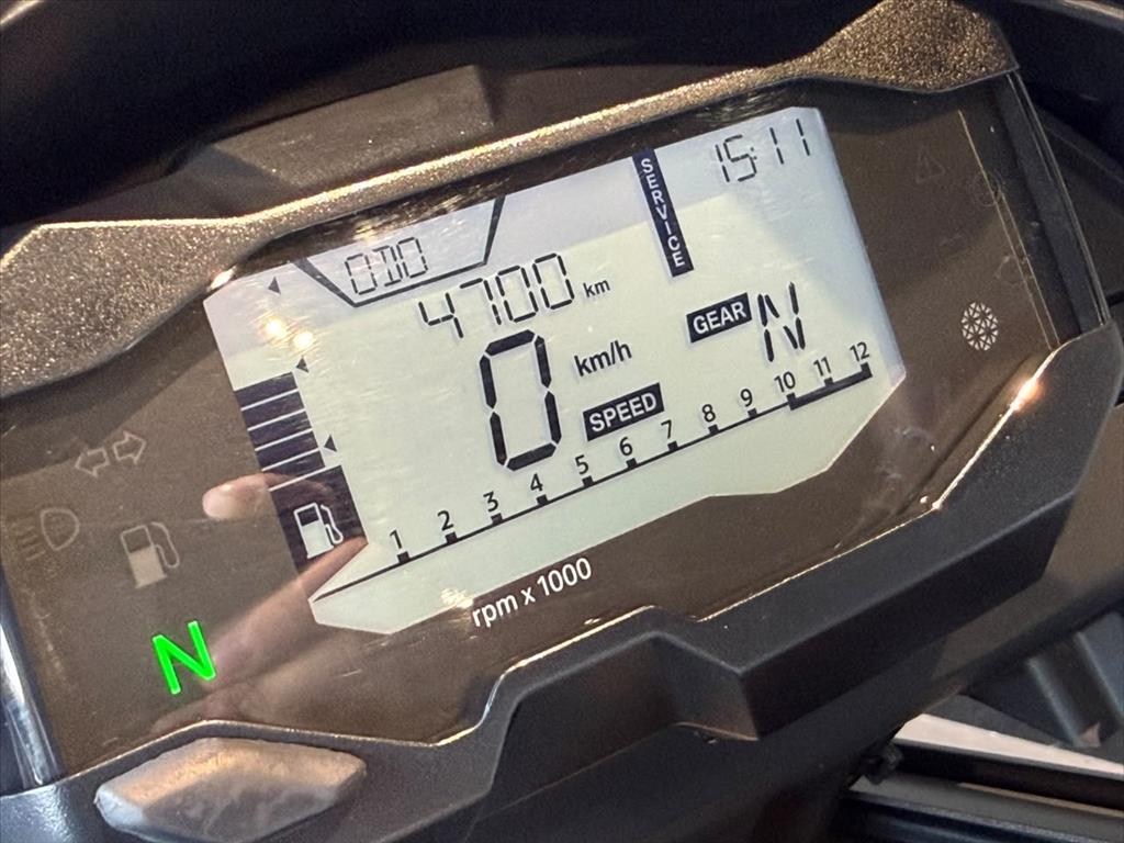 BMW G 310 GS 2024