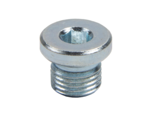 Bujão Roscado M10X8 BMW K 1600 GT/ F 750 GS/ F 900 R N11