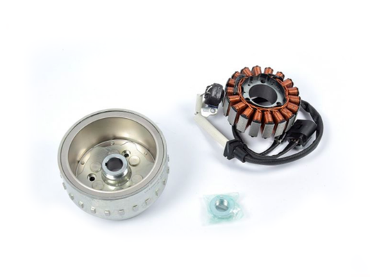 Alternador Com Roda Livre G 310 GS / G 310 R N1