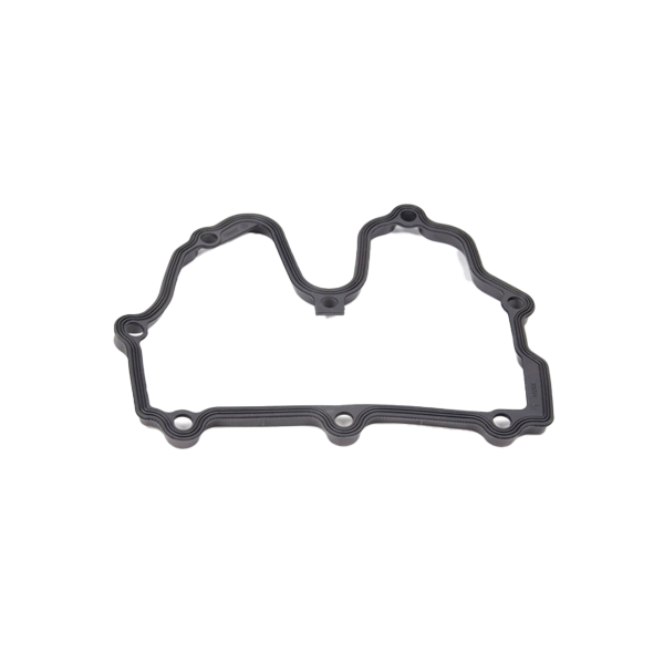 Junta da Tampa de Válvula BMW G 650 GS / F 650 GS