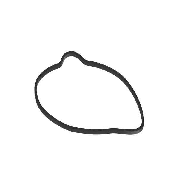 Junta Vedante da Bomba de Água BMW G 650 GS / G 650 GS Sertão / G 650 X