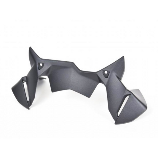 Carenagem Central  BMW Motorrad  R 1250 GS / R 1200 GS