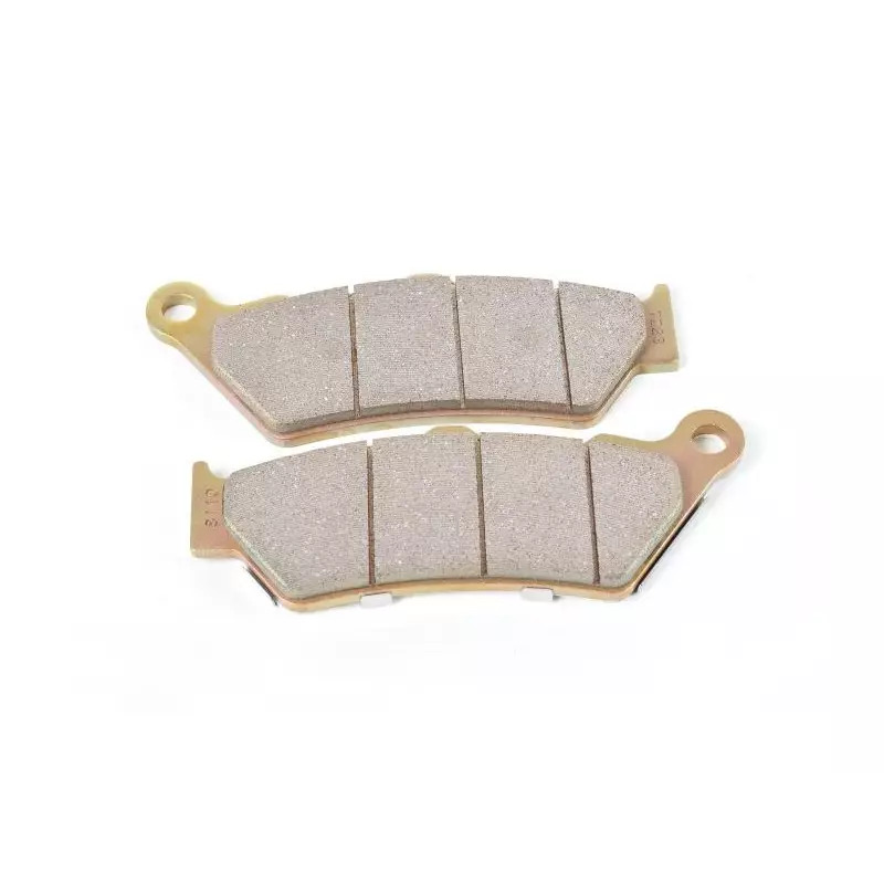 Pastilhas De Freio Traseiro R 18